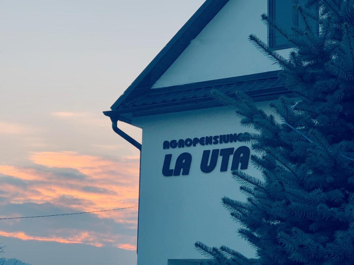 Agropensiunea La Uta Rebrisoara Exterior photo