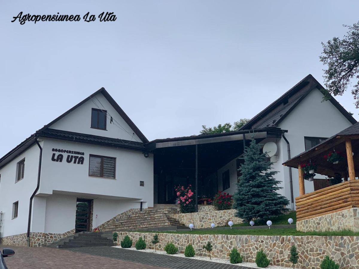 Agropensiunea La Uta Rebrisoara Exterior photo