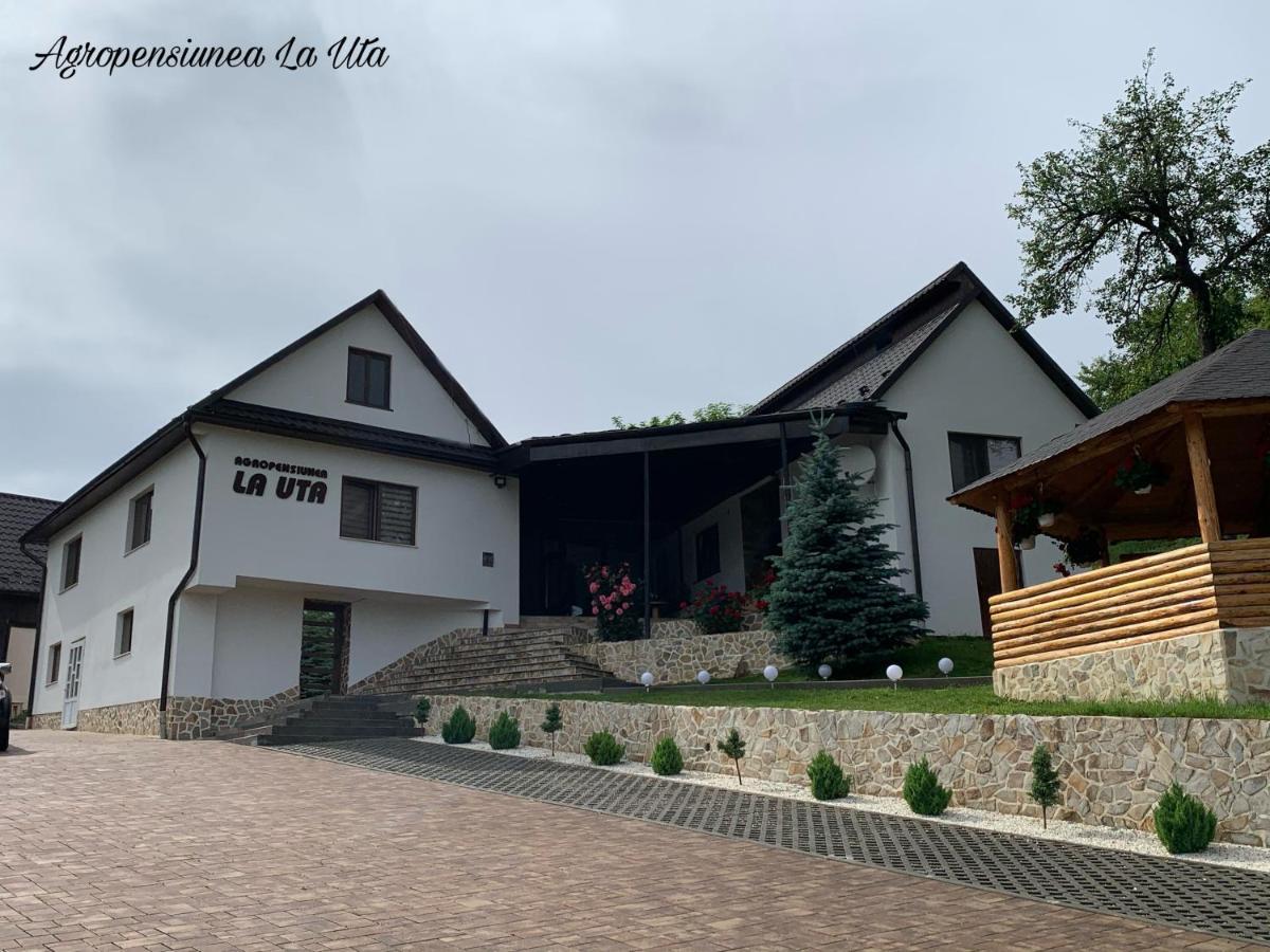 Agropensiunea La Uta Rebrisoara Exterior photo